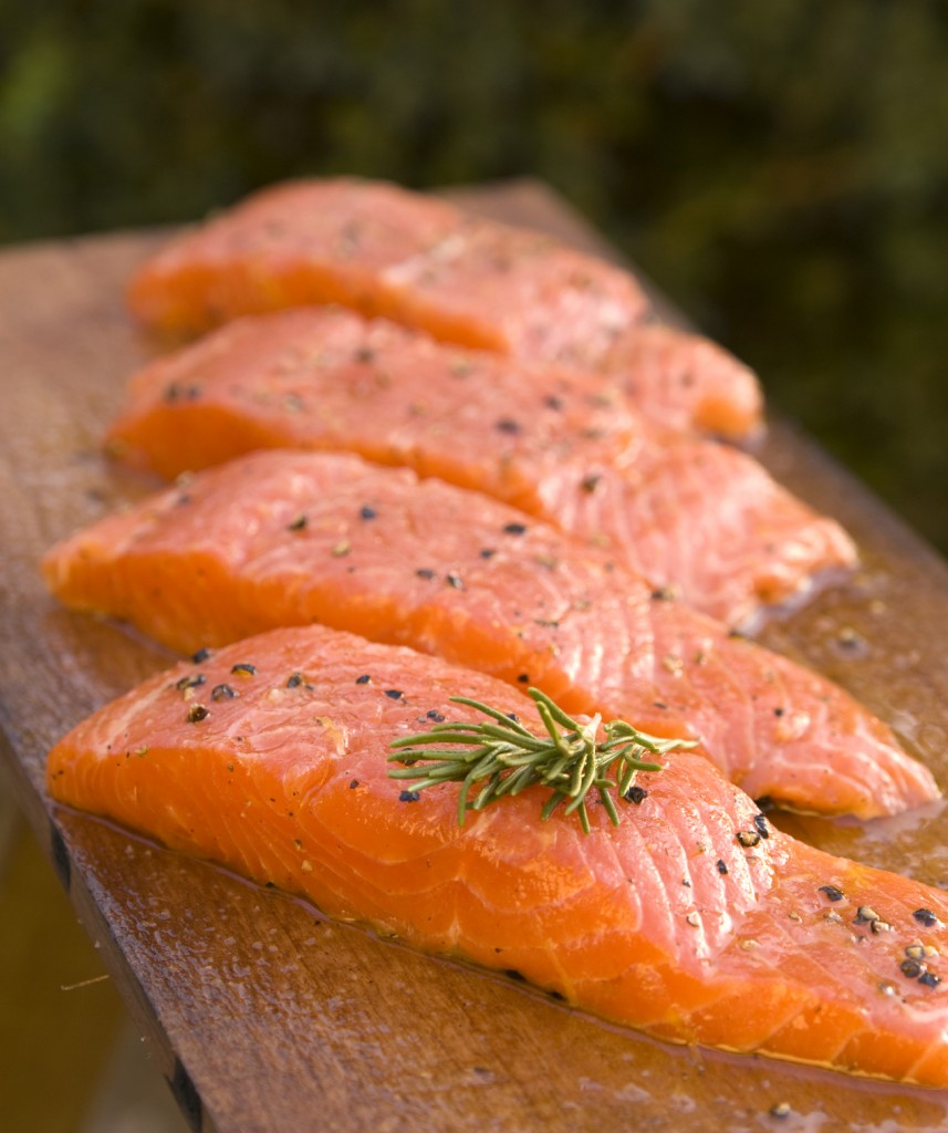 Salmon Fillets Photo Credit: AquaBounty
