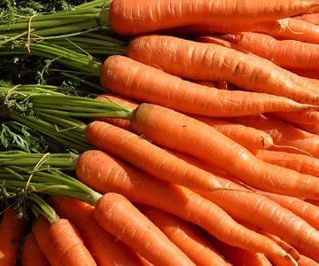 Carrots 