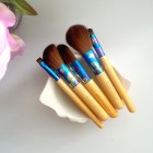 Drugstore Dash: EcoTools Brush Set