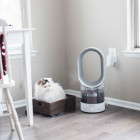 How the Dyson Humidifier Saved My Dry Skin